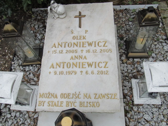 Aleksander Antoniewicz 2005 Czerwonak - Grobonet - Wyszukiwarka osób pochowanych