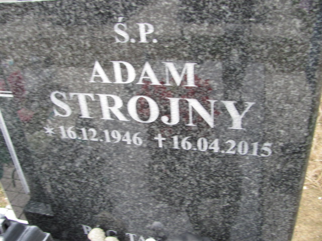 Adam Strojny 1946 Czerwonak - Grobonet - Wyszukiwarka osób pochowanych